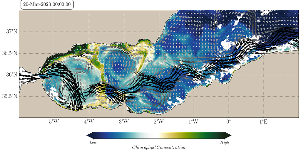 Mercator Model Currents